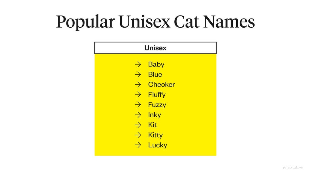 Choosing the Perfect Cat Name: A Guide to the Best Names for Your Feline Friend