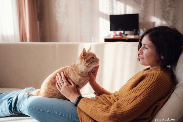 Treating Common Cat Skin Problems: Causes & Solutions
