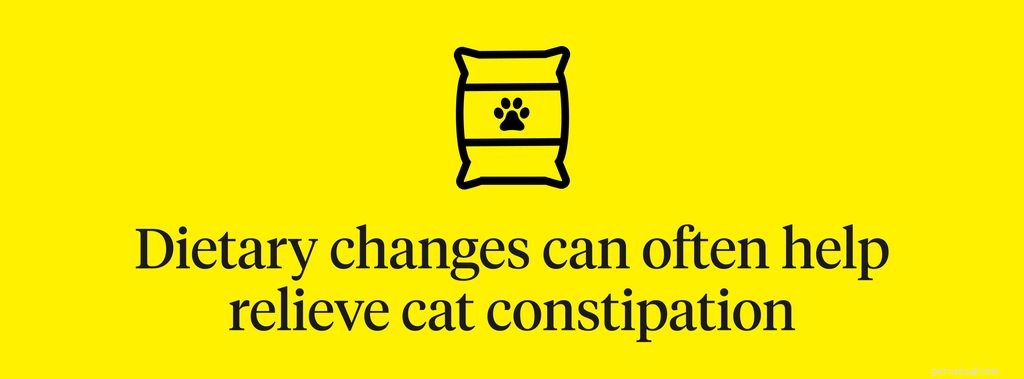 Understanding Cat Constipation: Signs, Causes, and Effective Treatments
