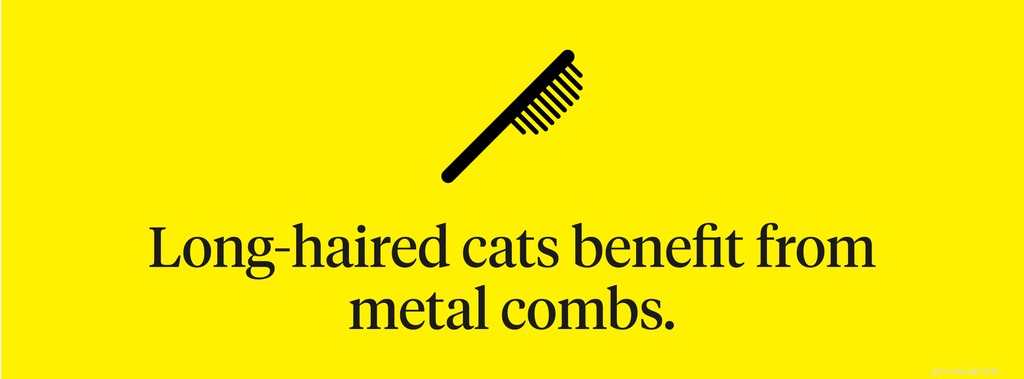 Why Is My Cat Shedding Excessively? Causes and When to Seek Vet Help
