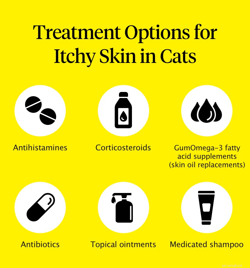 How to Relieve Your Cat’s Itchy Skin – Expert Tips & Treatments
