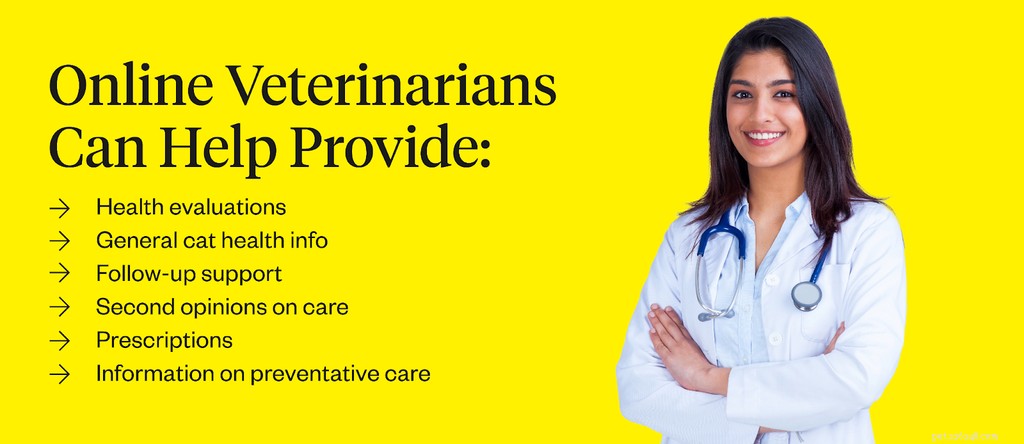 How to Buy Cat Medicine Online Safely and Conveniently