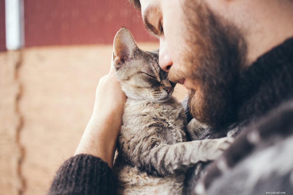 Cat Skin Irritation: Recognize Symptoms, Identify Causes, and Find Effective Treatments