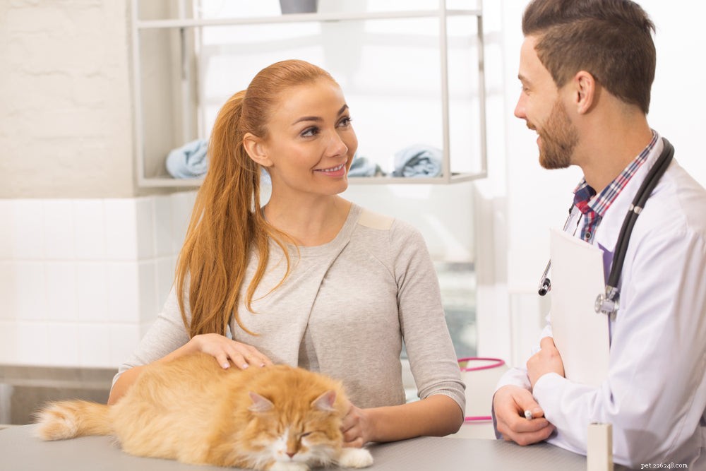 Top Cat Vitamins & Nutritional Supplements for Optimal Health