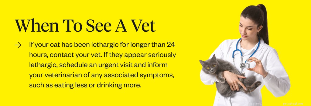 Understanding Cat Lethargy: Causes, Symptoms, and Effective Treatments