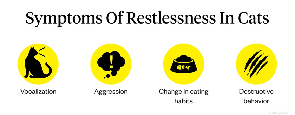 What Causes Cat Restlessness? Expert Tips to Identify and Treat the Root Cause
