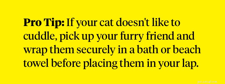 How to Safely Clean Your Cat’s Ears at Home