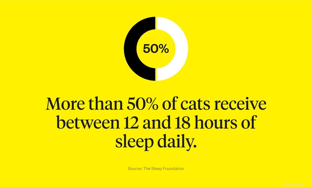 Why Do Cats Sleep So Much? Understanding the Science Behind Their Restful Behavior