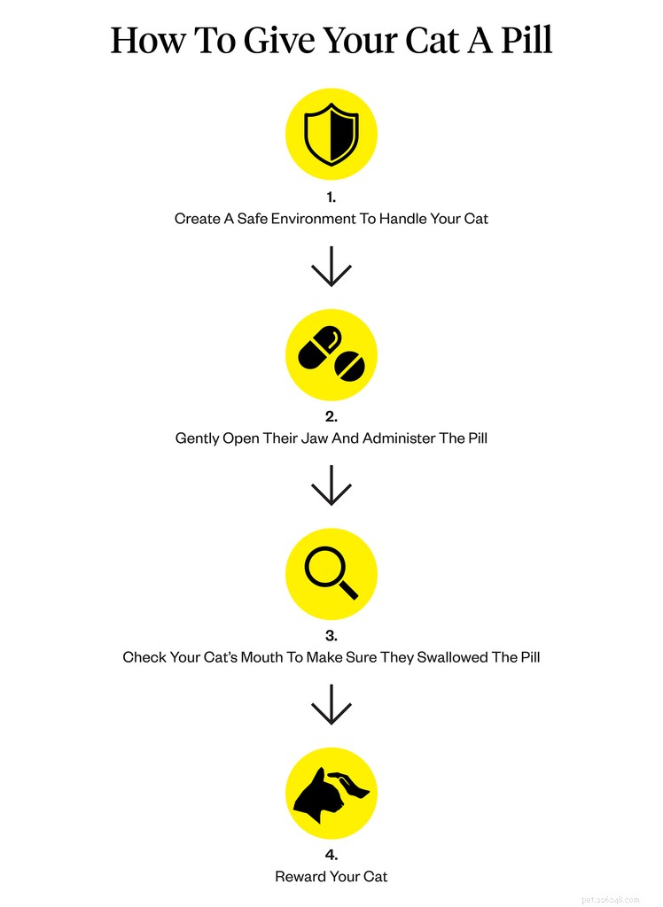 Mastering the Art of Giving Your Cat a Pill: A Step-by-Step Guide