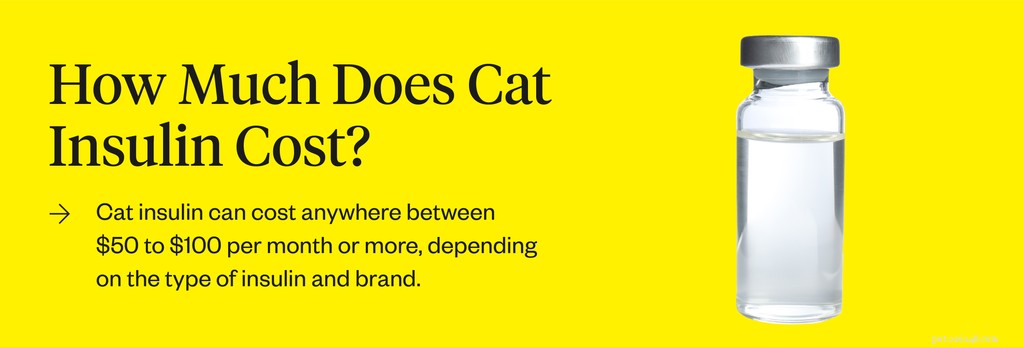 Cat Insulin Costs: What Owners Need to Know
