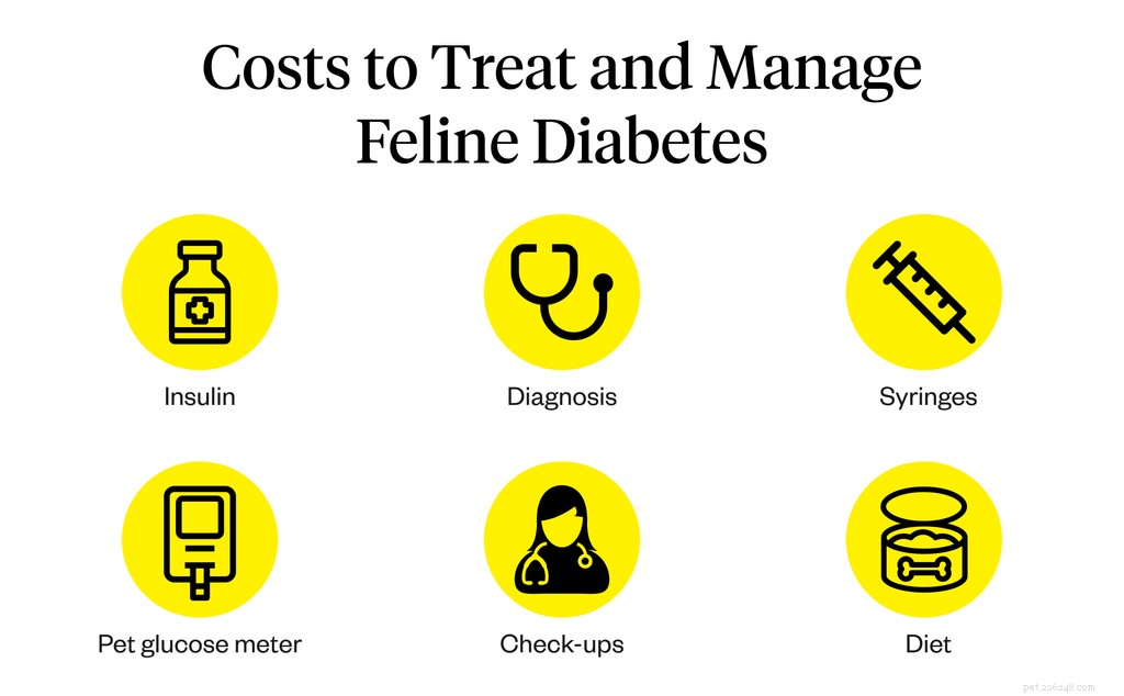 Cat Insulin Costs: What Owners Need to Know