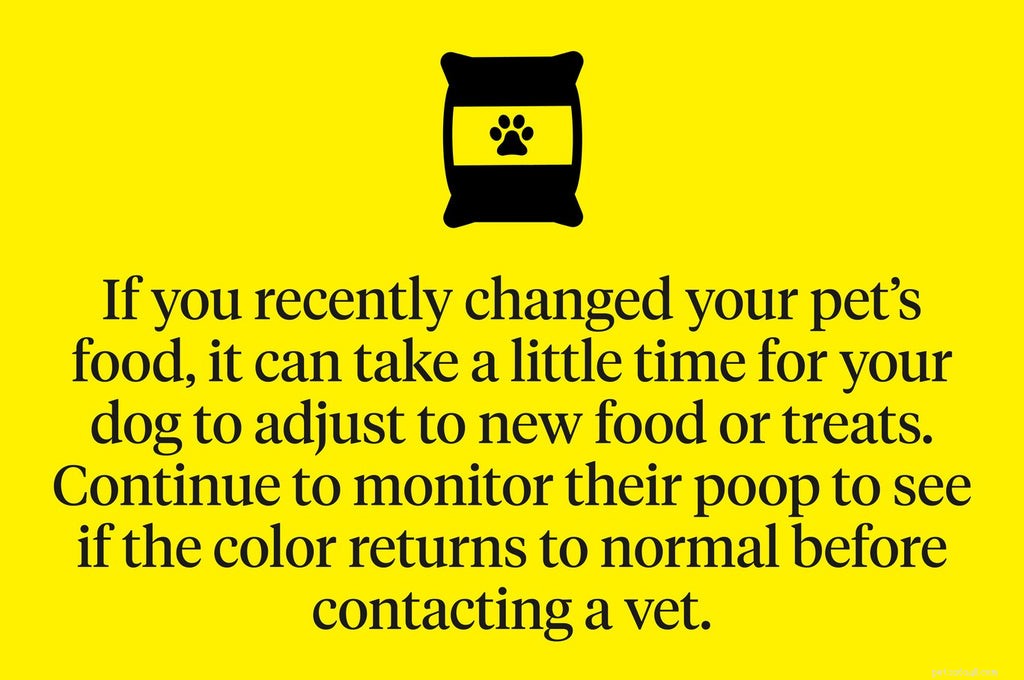 Yellow Dog Poop: When to Seek Veterinary Care