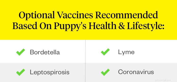 Puppy Vaccination Guide: Essential Shots for a Healthy Start