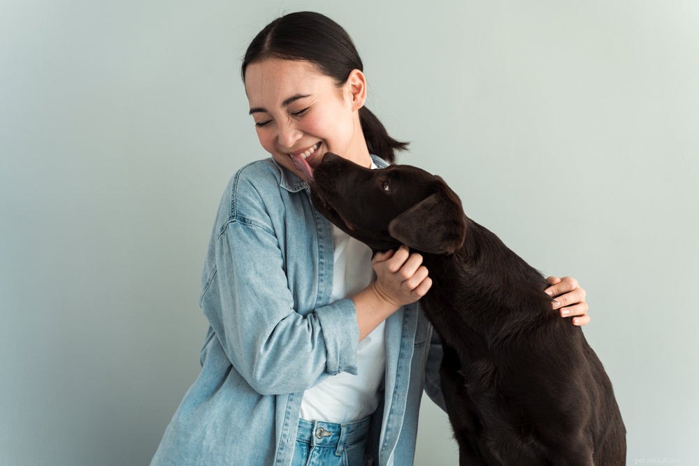 Puppy Vaccination Guide: Essential Shots for a Healthy Start