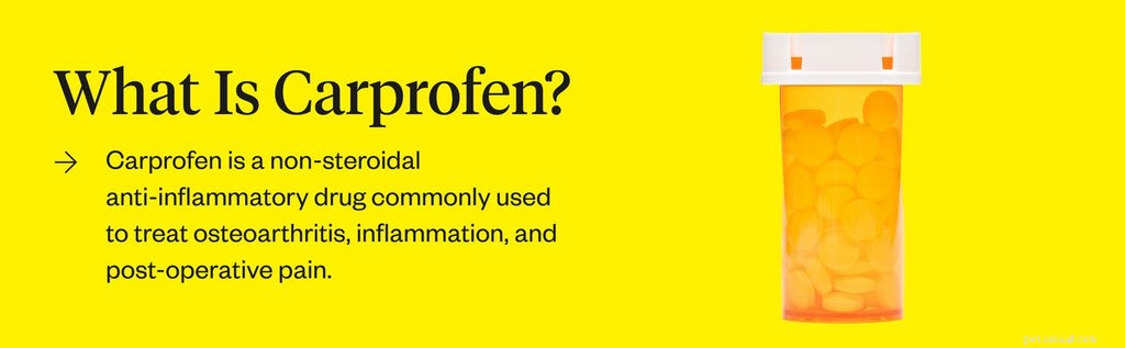 Carprofen for Dogs: Effective Pain Relief, Dosage Guide, and Safety Tips