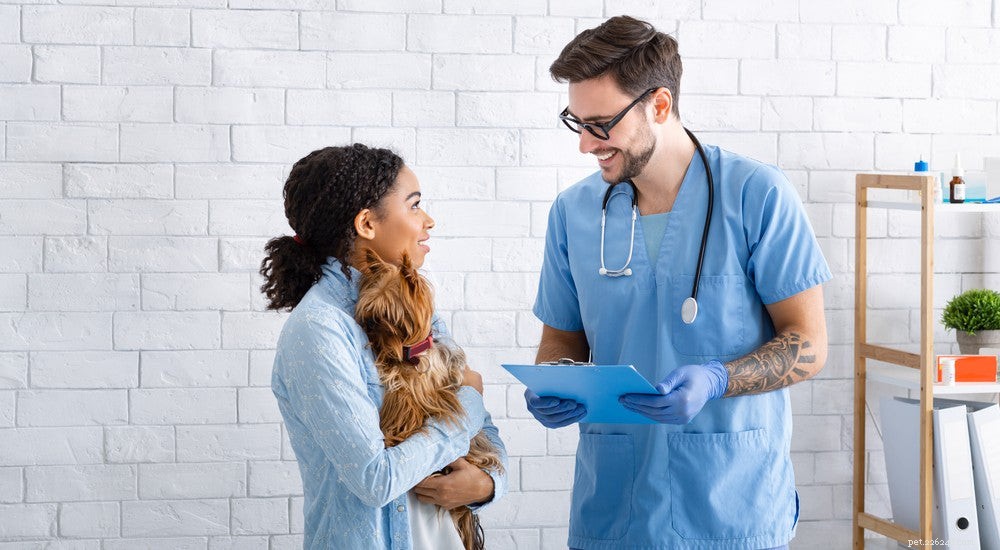 Carprofen for Dogs: Effective Pain Relief, Dosage Guide, and Safety Tips