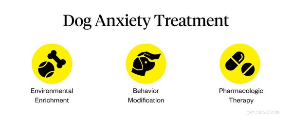 Managing Dog Anxiety: A Trusted Guide for Pet Owners to Help Their Dogs Thrive