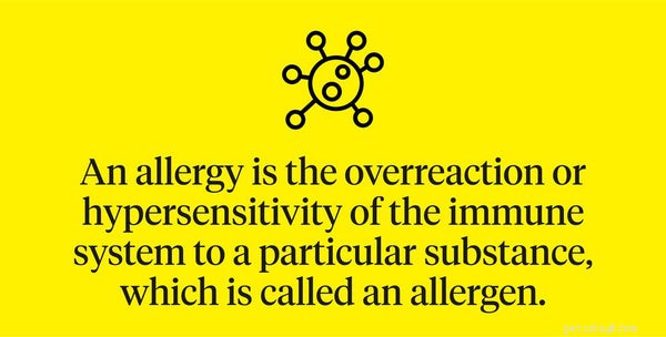 Managing Dog Allergies: Expert Tips to Relieve Your Pet’s Itching and Swelling