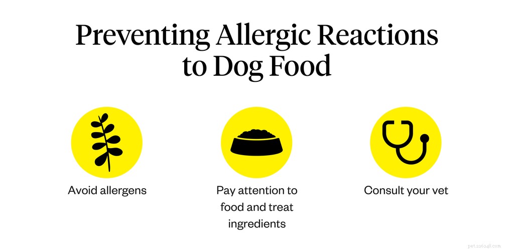 Recognizing Food Allergy Symptoms in Dogs: A Comprehensive Guide