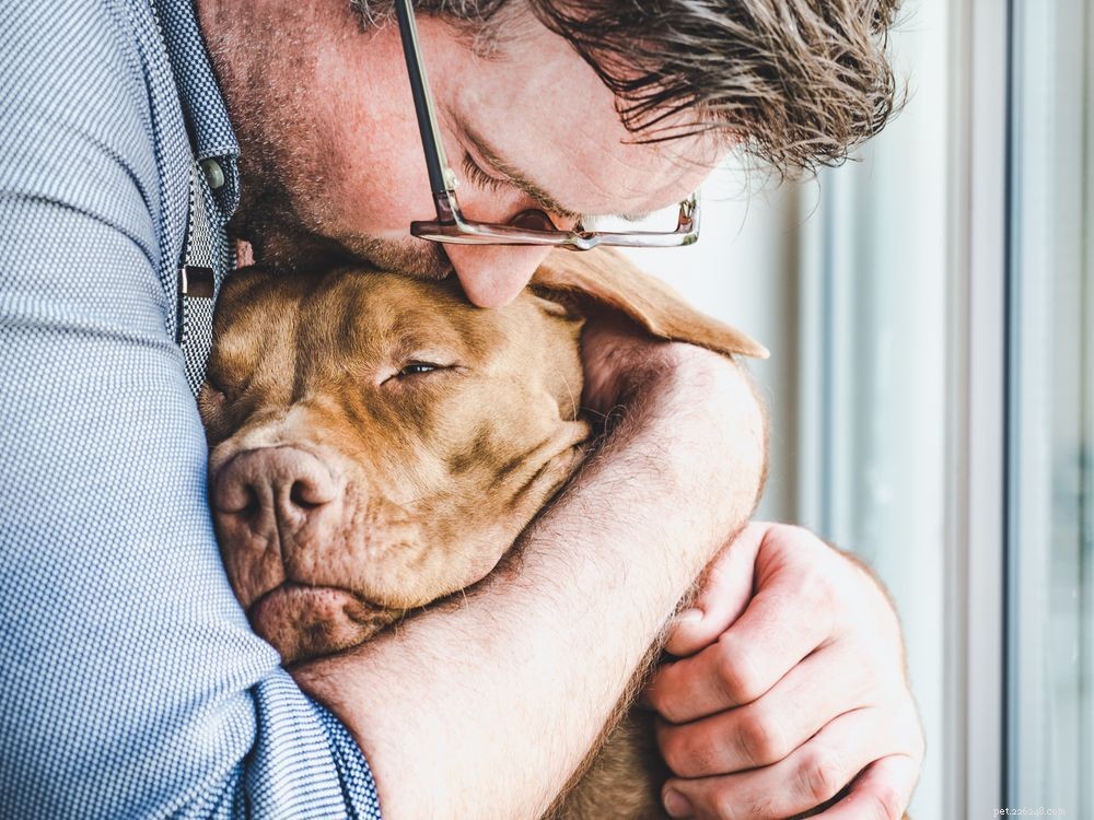 Managing Canine Anxiety: A Comprehensive Training Guide