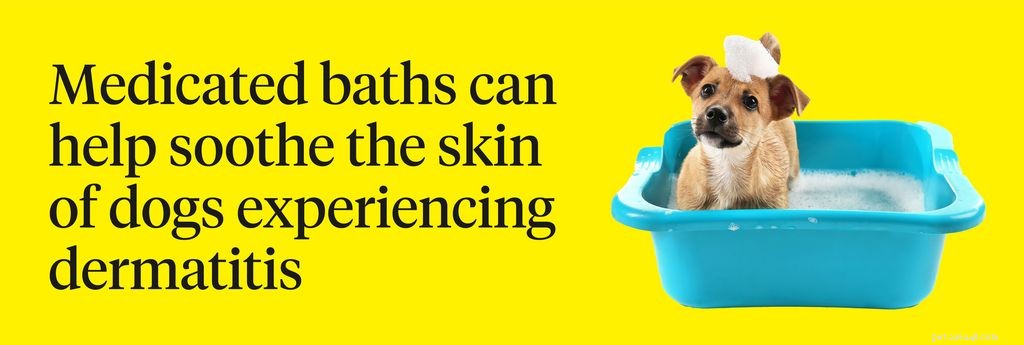 Dog Skin Irritation Explained: Causes, Symptoms & Proven Treatments