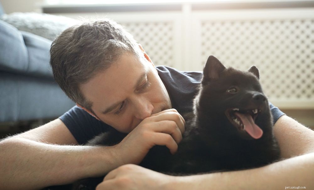 Dog Dandruff Explained: Symptoms, Causes & Effective Treatments