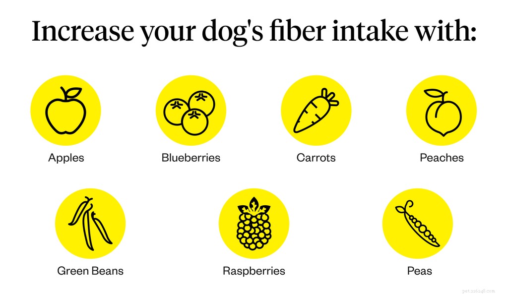 Effective Home Remedies to Relieve Dog Constipation