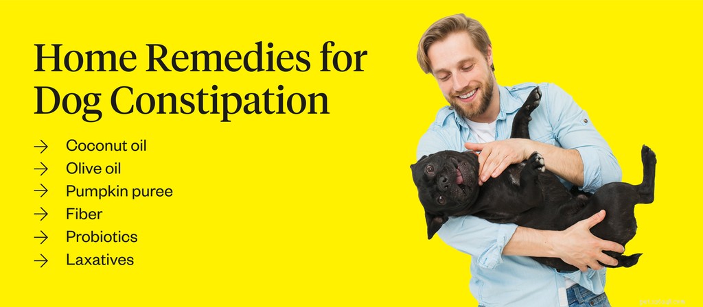 Effective Home Remedies to Relieve Dog Constipation