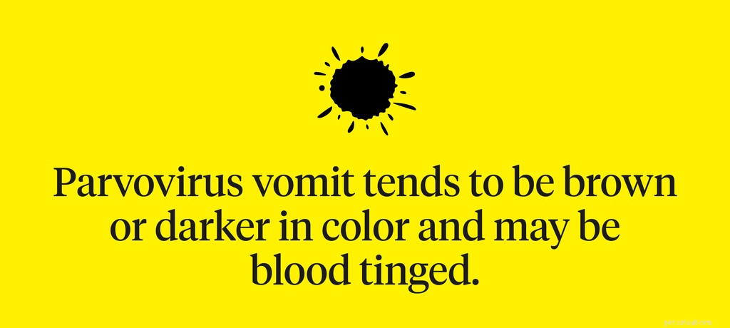 How to Handle Your Puppy’s Vomiting: Expert Advice & Quick Actions