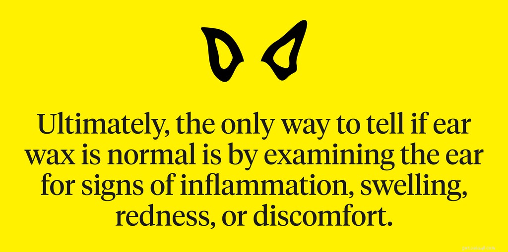 Dog Earwax Color Guide: Recognize Healthy vs. Infection