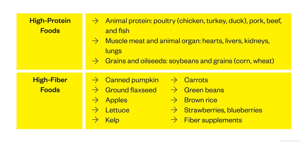 Optimal Diet for Diabetic Dogs: Feeding Tips & Guidelines
