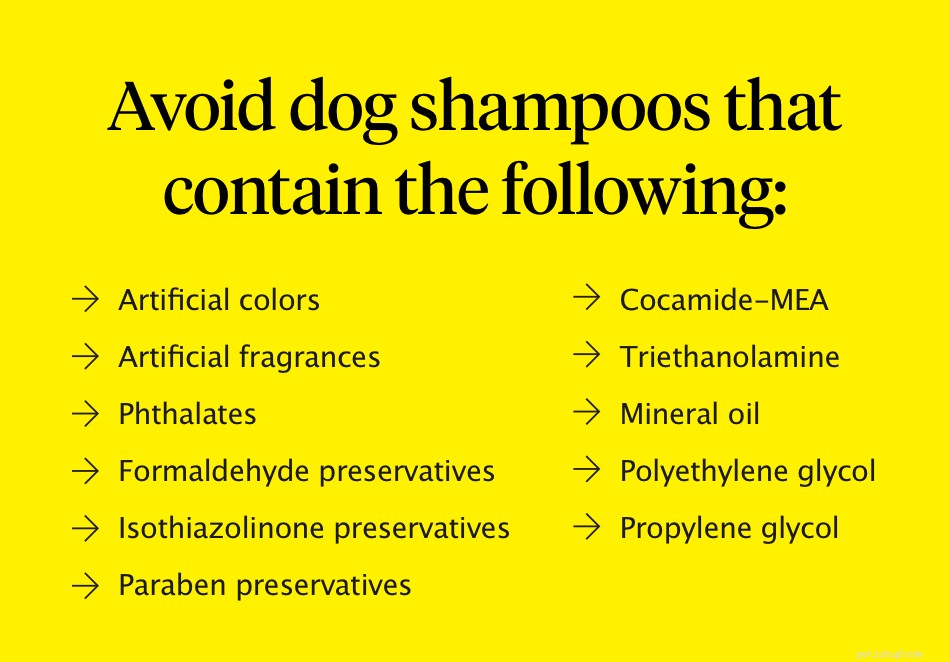 Professional Guide: How to Bathe Your Dog for a Clean, Healthy Coat