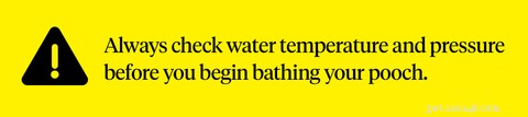 Professional Guide: How to Bathe Your Dog for a Clean, Healthy Coat