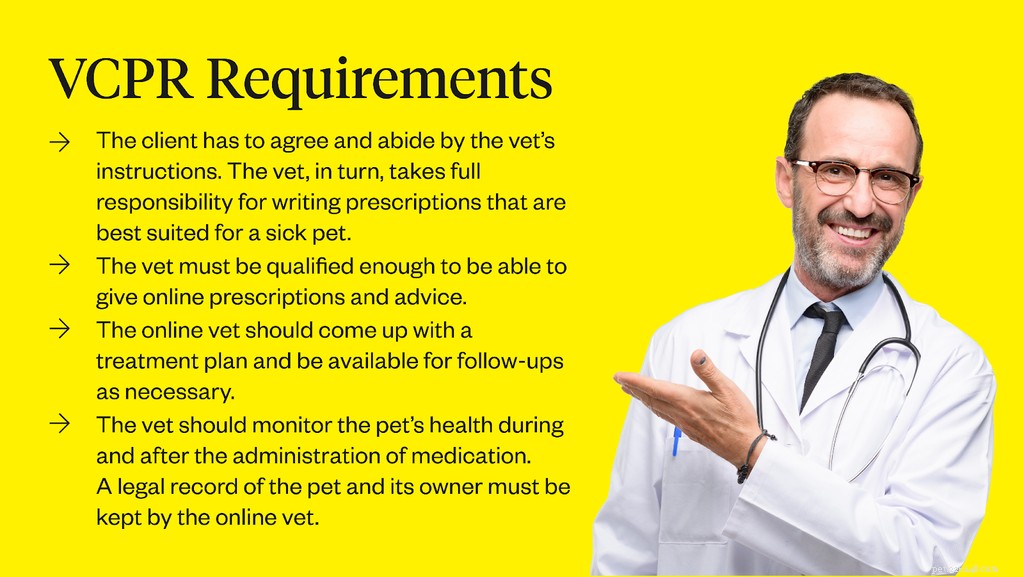 Get a Trusted Dog Prescription Online – Fast, Reliable, and Easy
