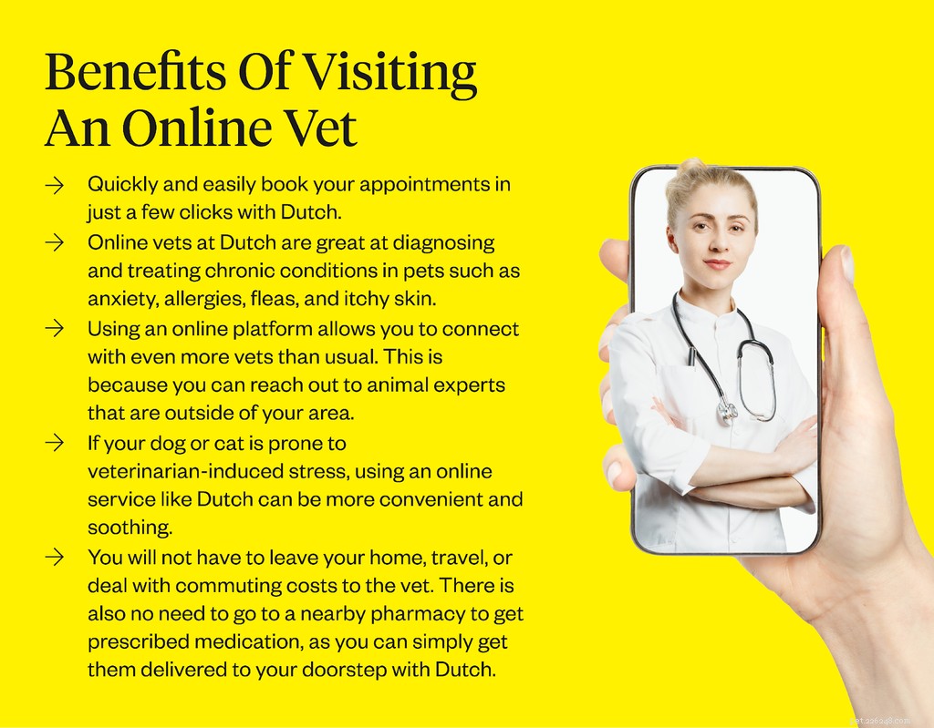 Get a Trusted Dog Prescription Online – Fast, Reliable, and Easy