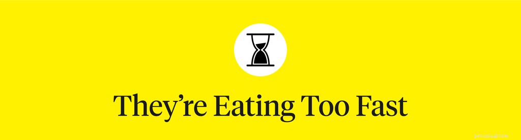 What Causes Dogs to Vomit After Eating? Expert Tips & Remedies