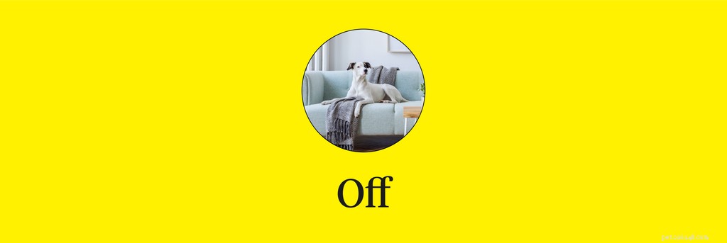 Master 15 Essential Dog Commands for a Safe, Well‑Behaved Companion