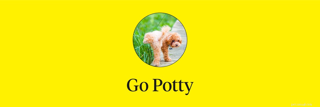 Master 15 Essential Dog Commands for a Safe, Well‑Behaved Companion