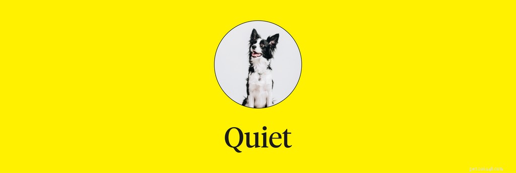 Master 15 Essential Dog Commands for a Safe, Well‑Behaved Companion
