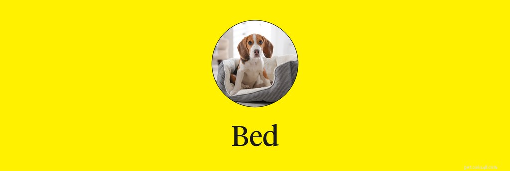 Master 15 Essential Dog Commands for a Safe, Well‑Behaved Companion