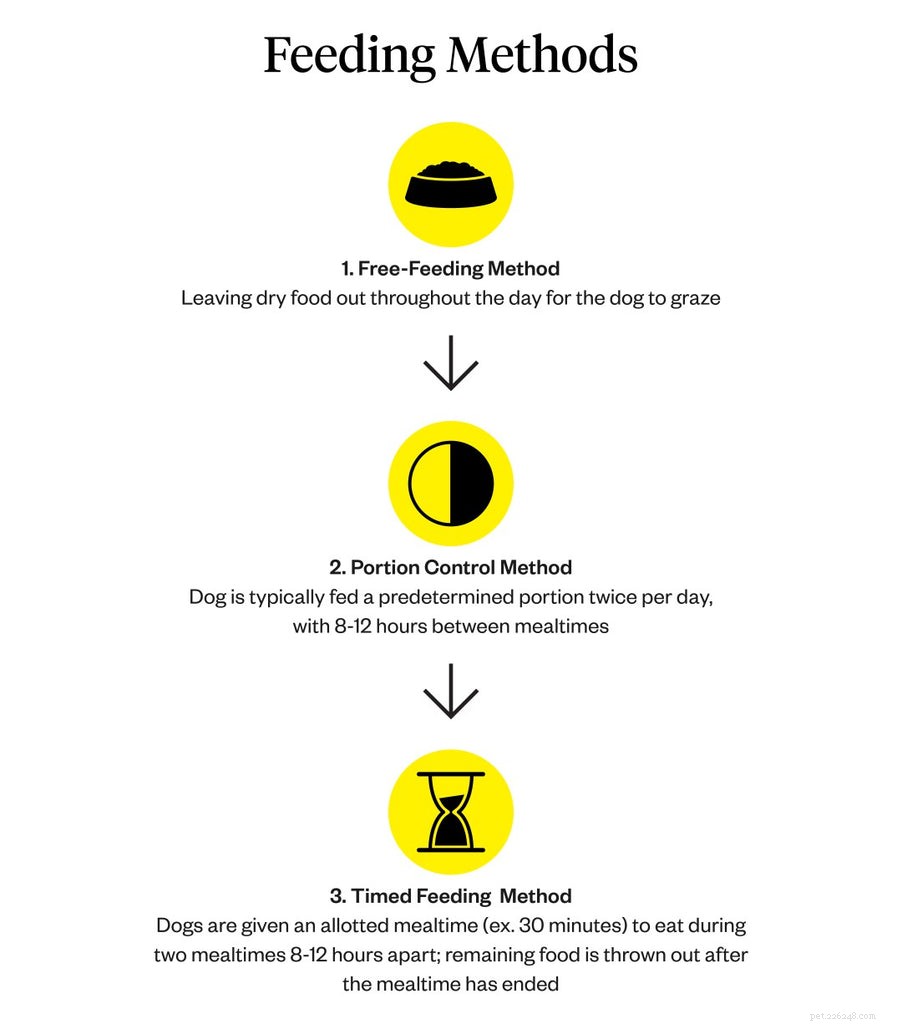 Optimal Feeding Frequency: How Often to Feed Your Dog