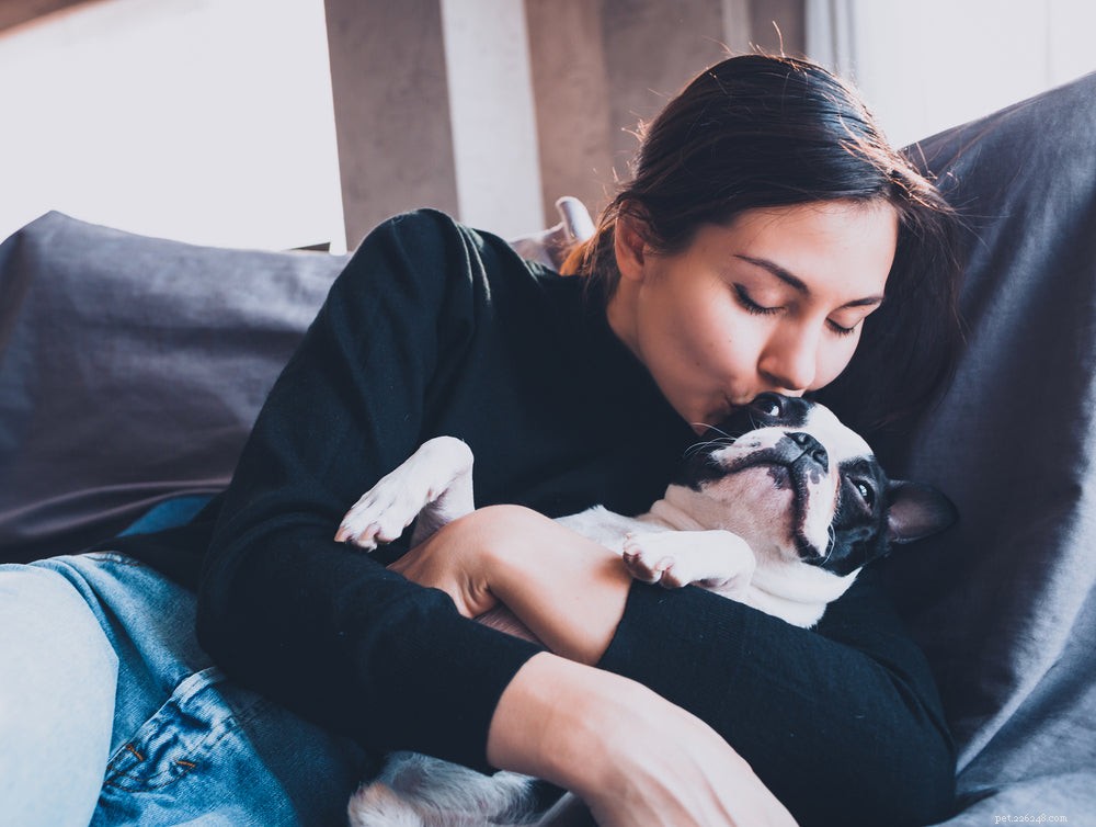 Cushing’s Disease in Dogs: Recognizing Symptoms, Uncovering Causes, and Effective Treatment Options