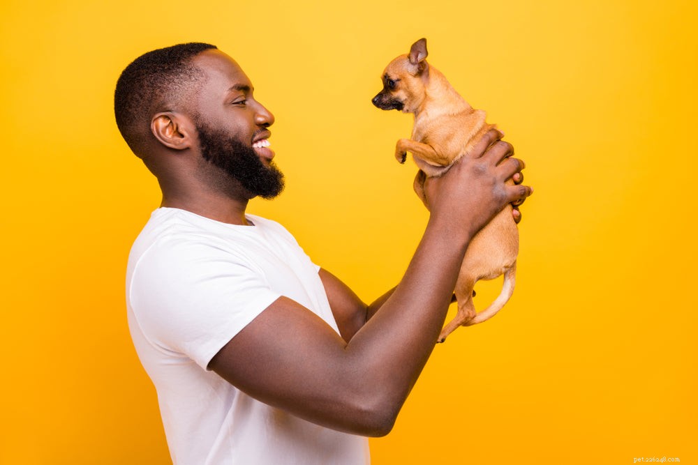 Spaying Your Dog: Essential Facts and Health Benefits