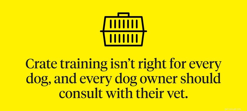 The Complete Guide to Safe and Positive Crate Training for Your Dog
