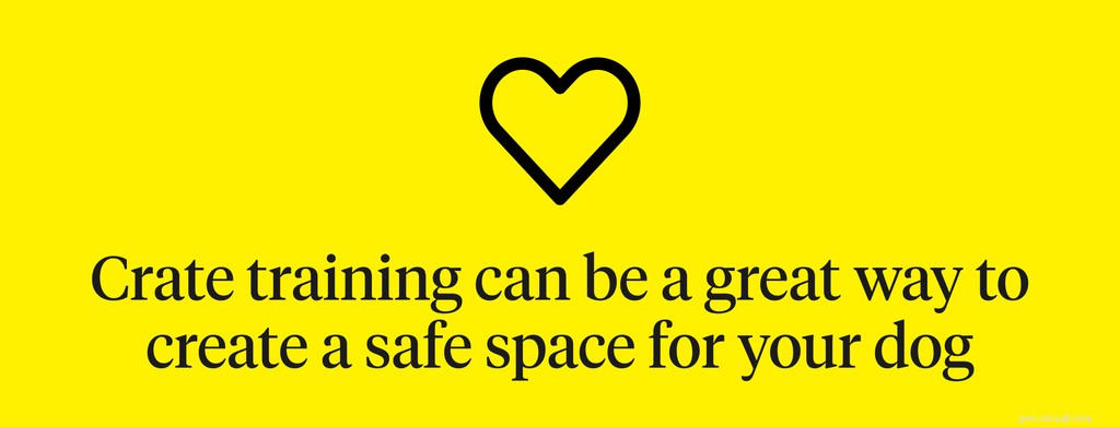 The Complete Guide to Safe and Positive Crate Training for Your Dog