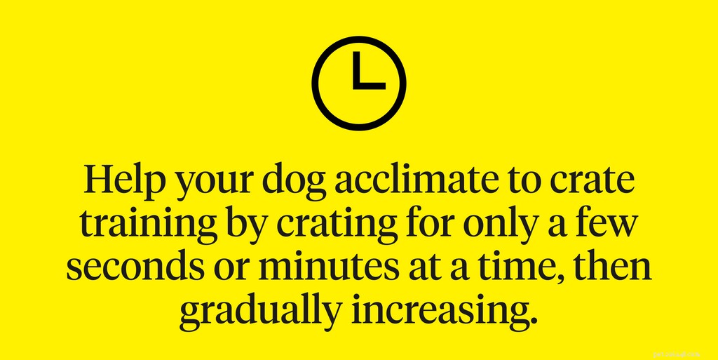 The Complete Guide to Safe and Positive Crate Training for Your Dog