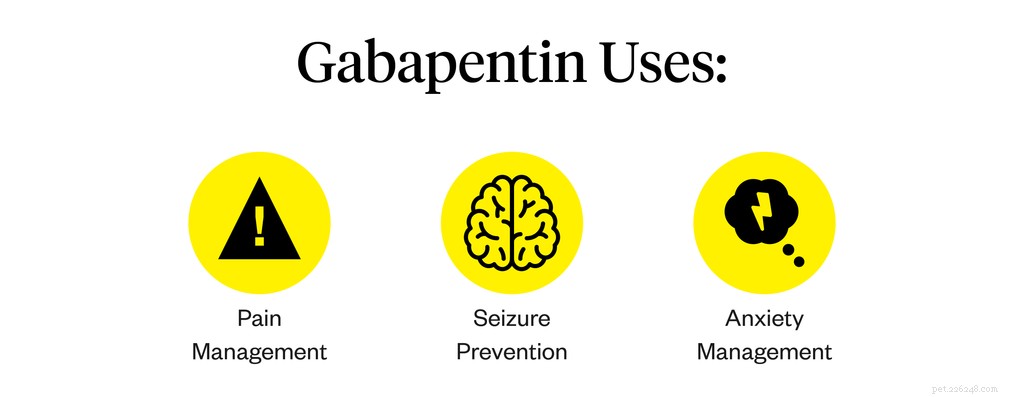 Gabapentin in Dogs: Uses, Doses & Side Effects Explained