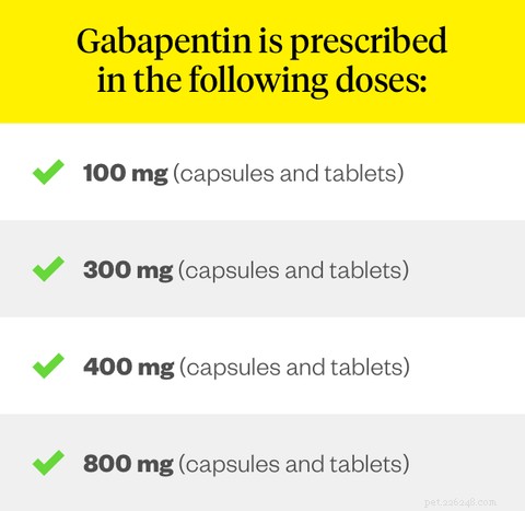 Gabapentin in Dogs: Uses, Doses & Side Effects Explained