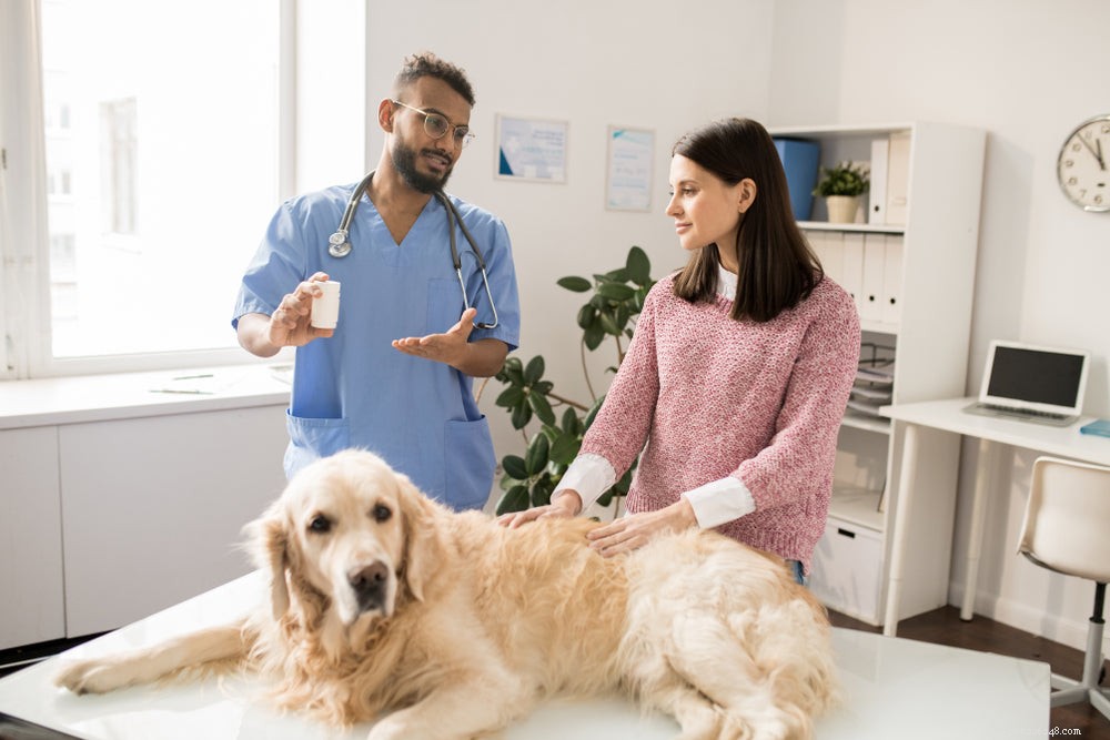 Gabapentin in Dogs: Uses, Doses & Side Effects Explained