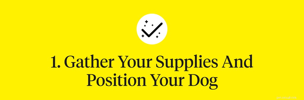 Step‑by‑Step Guide to Safely Clean Your Dog’s Ears